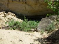 Jones Canyon Spring